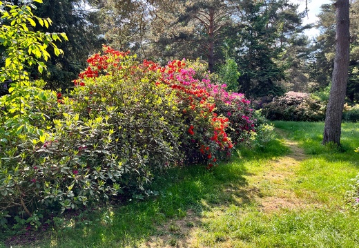 23-06-03 16-46-21 5798